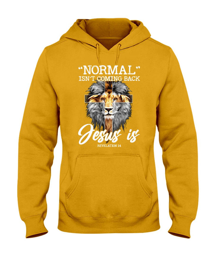 Christianartworkshop Lion Normal Isn't Coming Back Jesus Is Revelation 14 Hooded Sweatshirt