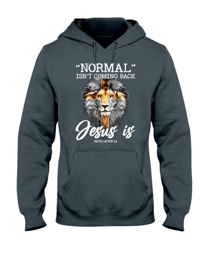 Christianartworkshop Lion Normal Isn't Coming Back Jesus Is Revelation 14 Hooded Sweatshirt