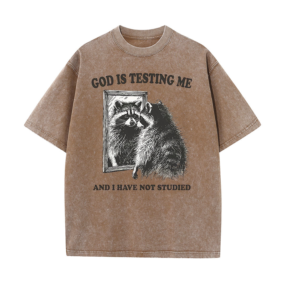 Christianartworkshop God Is Testing Me And I Have Not Studied Washed T-shirt - Coffee - 5XL - image 1