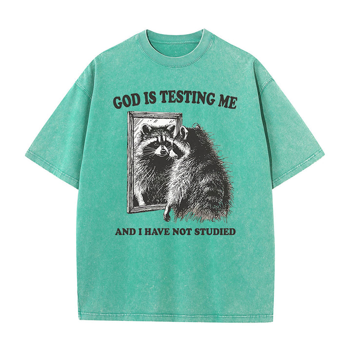 Christianartworkshop God Is Testing Me And I Have Not Studied Washed T-shirt - Green - 5XL - image 8