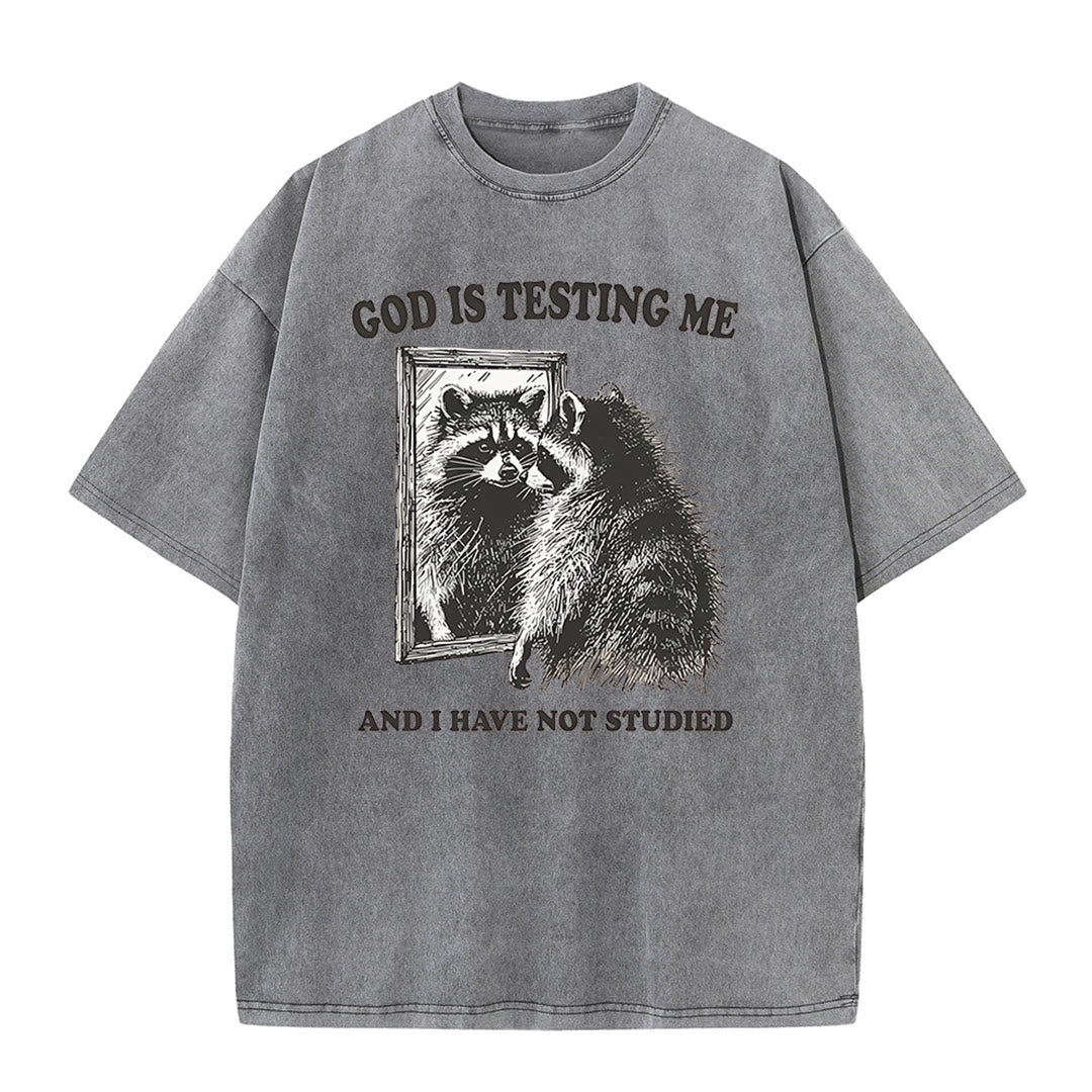 Christianartworkshop God Is Testing Me And I Have Not Studied Washed T-shirt - Grey - 5XL - image 5