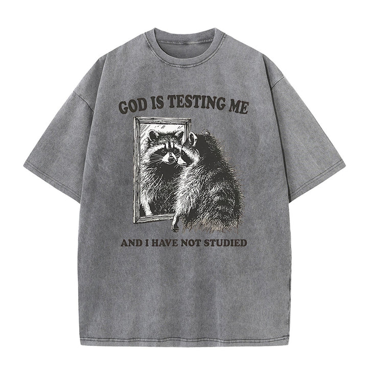 Christianartworkshop God Is Testing Me And I Have Not Studied Washed T-shirt - Grey - 5XL - image 5