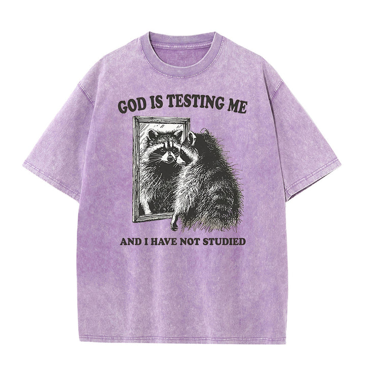 Christianartworkshop God Is Testing Me And I Have Not Studied Washed T-shirt - Purple - 5XL - image 4