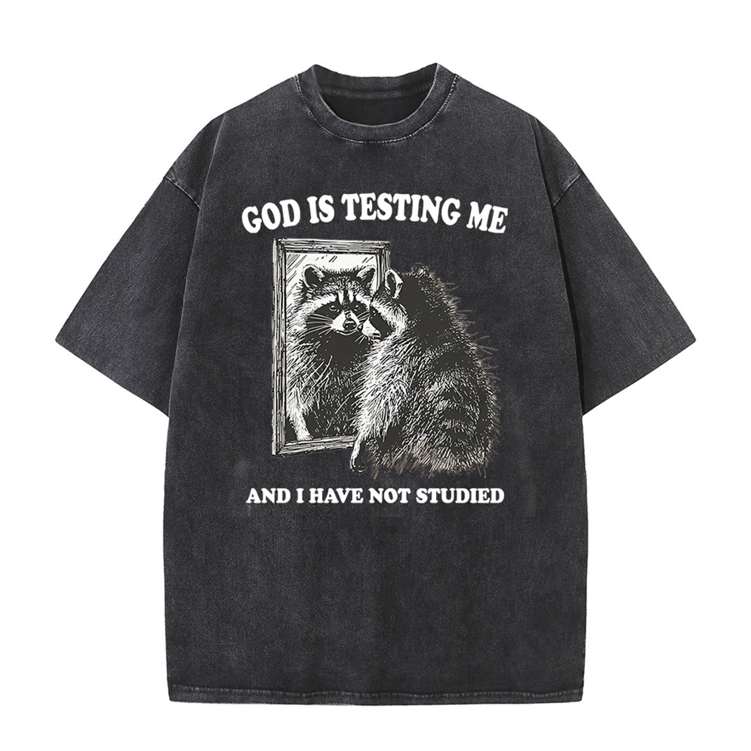 Christianartworkshop God Is Testing Me And I Have Not Studied Washed T-shirt - Black - 5XL - image 10