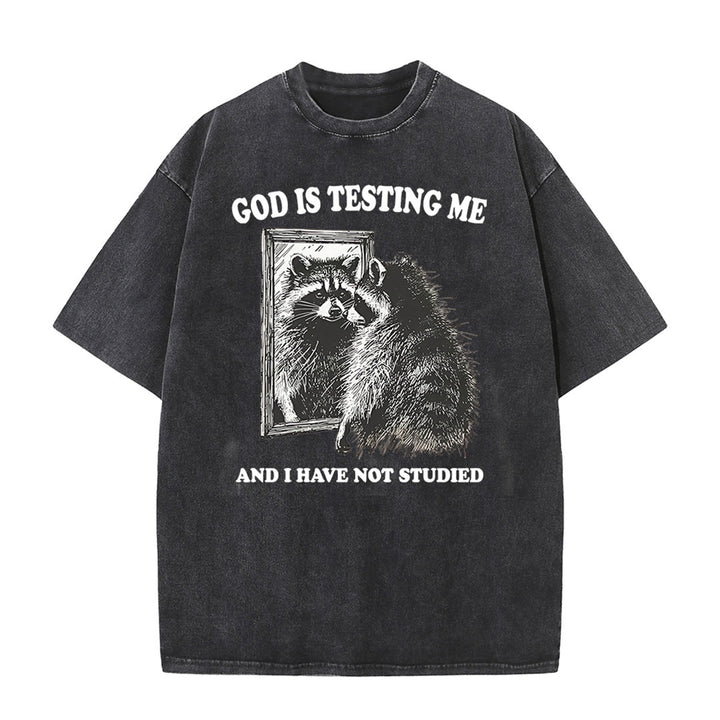 Christianartworkshop God Is Testing Me And I Have Not Studied Washed T-shirt - Black - 5XL - image 10