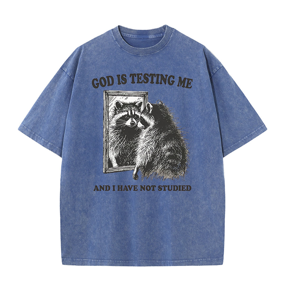 Christianartworkshop God Is Testing Me And I Have Not Studied Washed T-shirt - Blue - 5XL - image 6