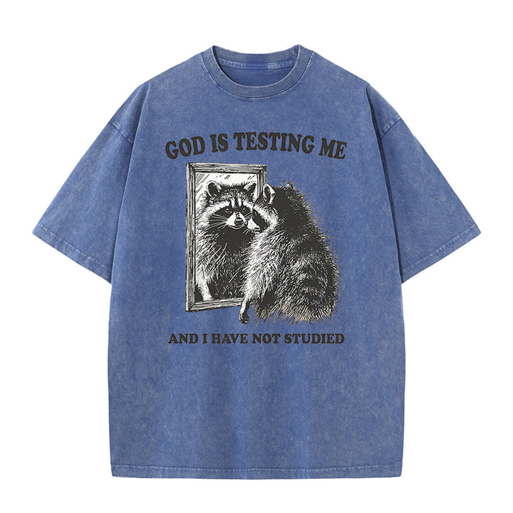 Christianartworkshop God Is Testing Me And I Have Not Studied Washed T-shirt - Blue - 5XL - image 6