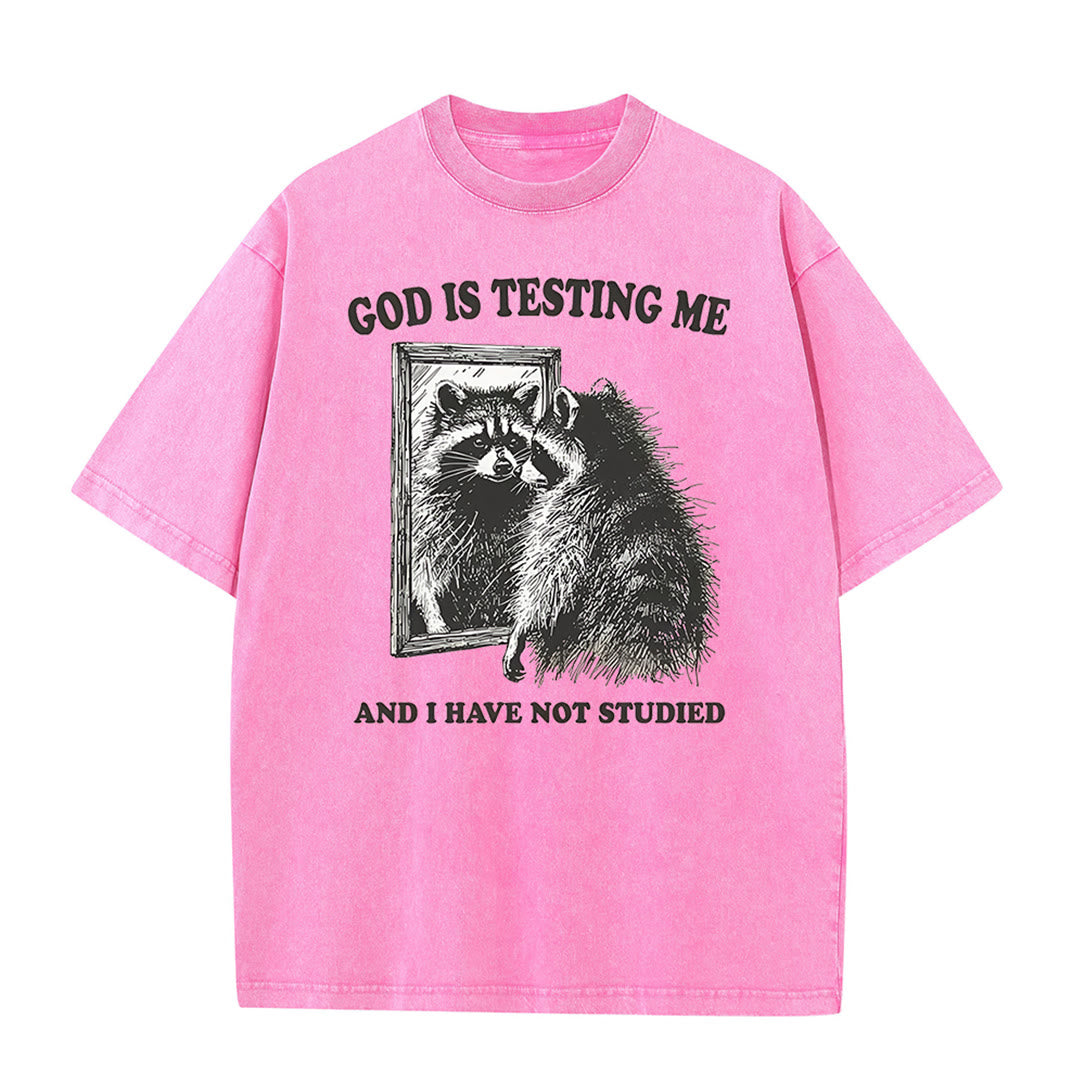 Christianartworkshop God Is Testing Me And I Have Not Studied Washed T-shirt - Pink - 5XL - image 7