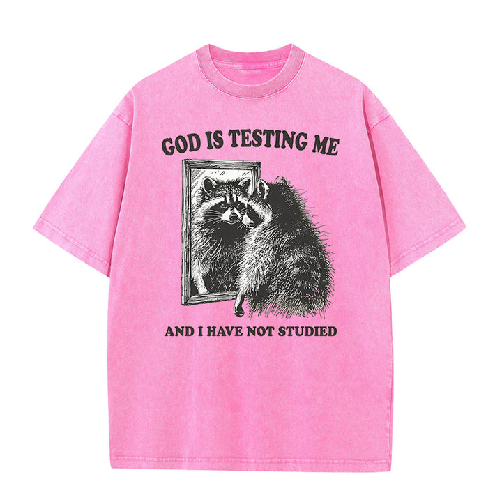 Christianartworkshop God Is Testing Me And I Have Not Studied Washed T-shirt - Pink - 5XL - image 7
