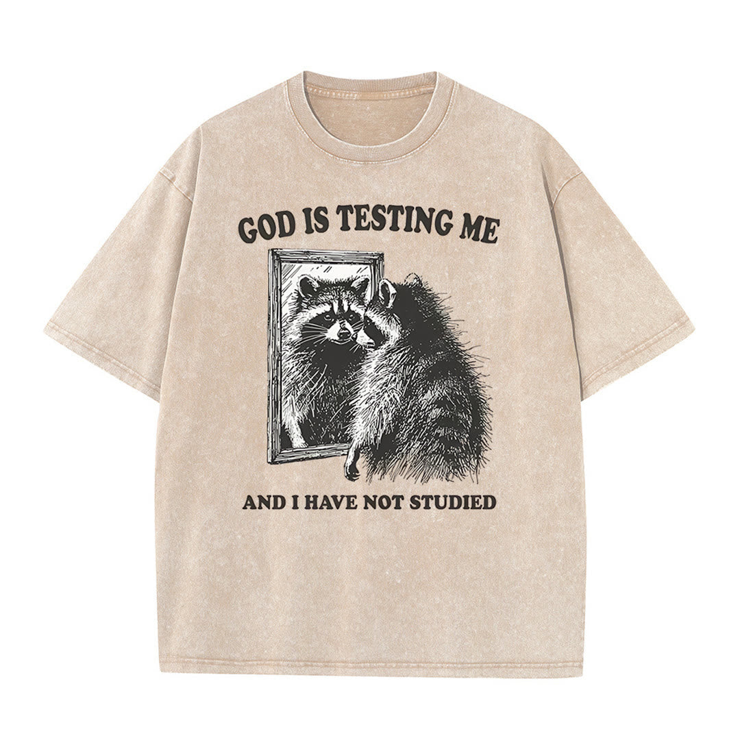 Christianartworkshop God Is Testing Me And I Have Not Studied Washed T-shirt - Apricot - 5XL - image 3
