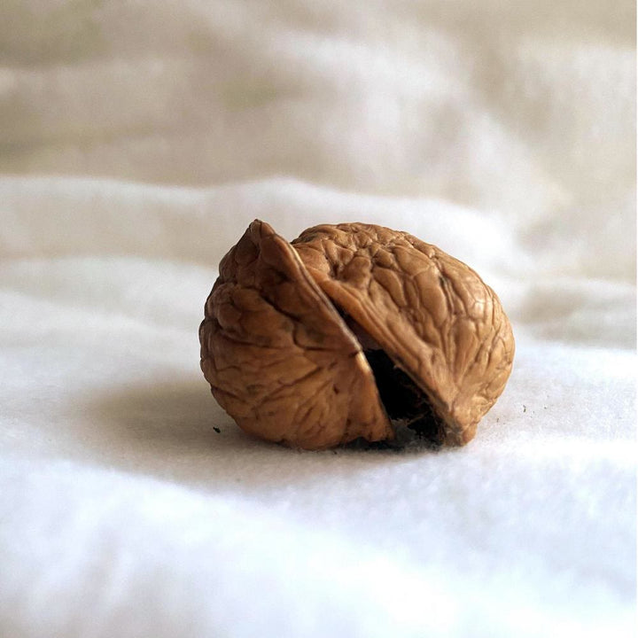 Christianartworkshop Walnut Shell Nativity Ornament: Miniature Holy Scene for Faith-Driven Decor - image 2