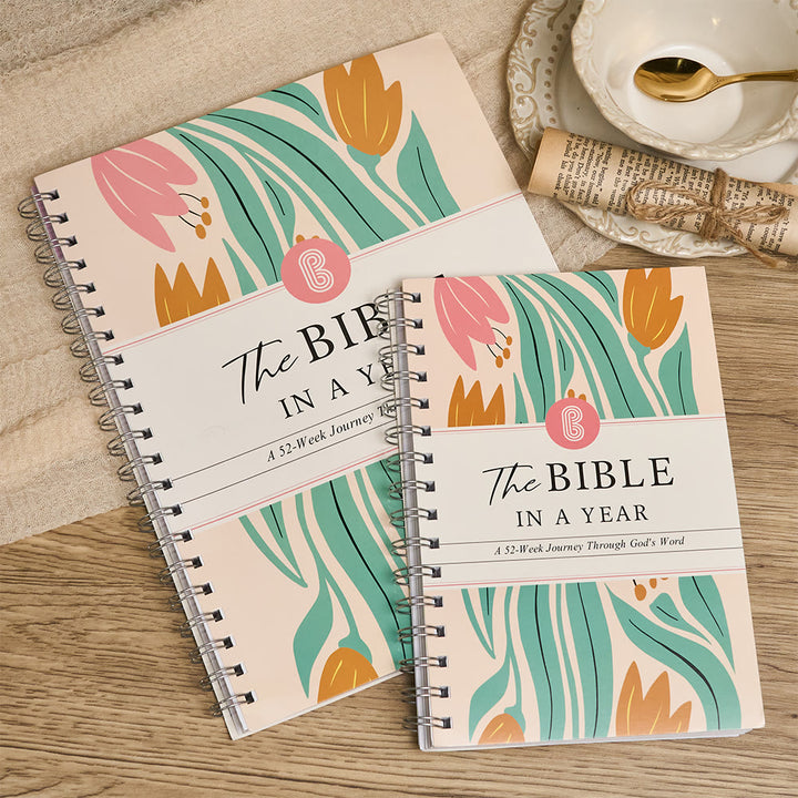 Christianartworkshop Bible in a Year Journal: Warm Comfort for Daily Study - image 0