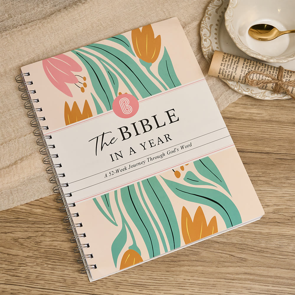 Christianartworkshop Bible in a Year Journal: Warm Comfort for Daily Study - A4 - image 1