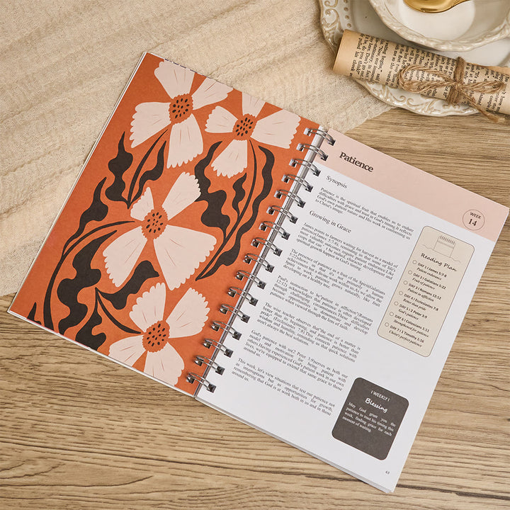 Christianartworkshop Bible in a Year Journal: Warm Comfort for Daily Study - image 6