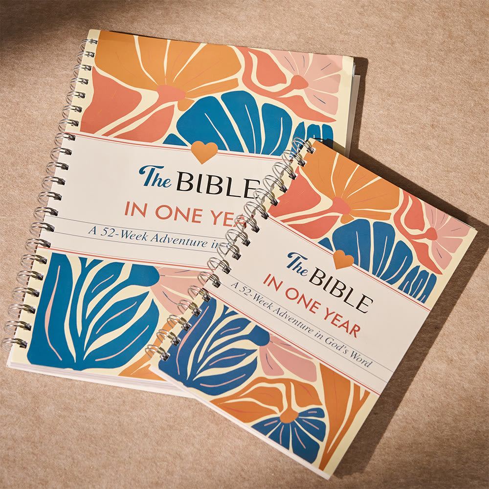 Christianartworkshop Blue-Accent Bible Guide: Soothing Grace for Busy Days - image 0